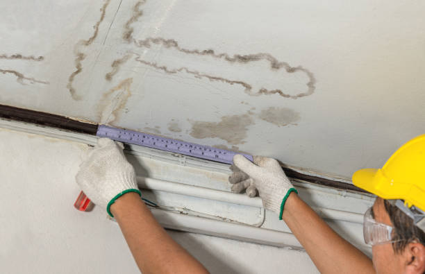 Reliable Water Damage contractor in Guffey, CO by Water Damage Irwin